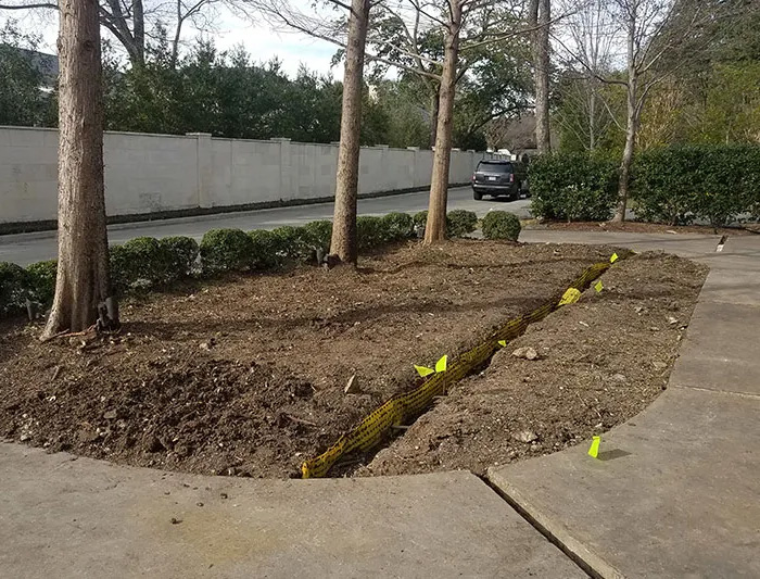tree root barrier services, certified arborists in dallas tx