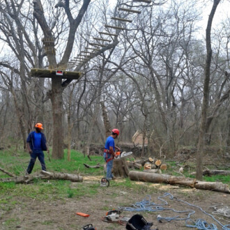 dallas tree removal services, dead tree removal, stump grinding