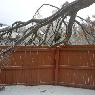 dallas storm damage, tree removal, tree trimming, tree cabling