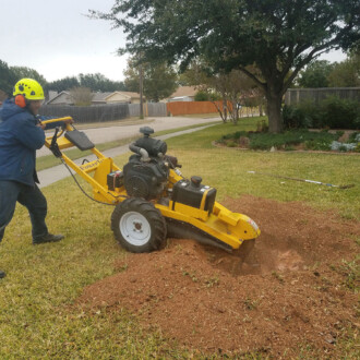 dallas stump grinding services